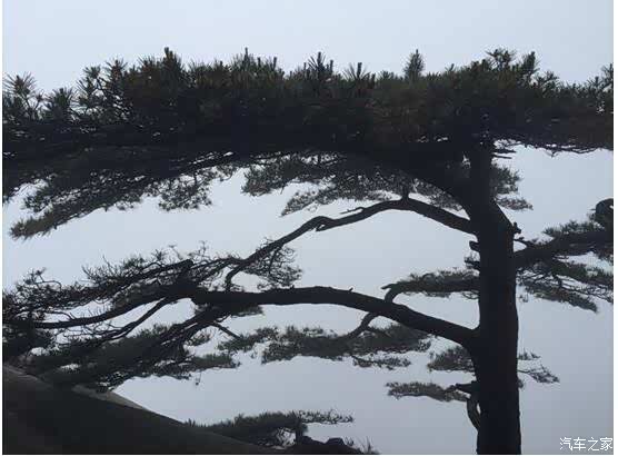 【图】春风十里不如旅行扬州地区自驾活动落幕