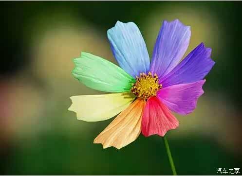 【很漂亮的九段话 送给2016年崭新的自己_信阳宏图汽车新闻资讯】-汽车之家