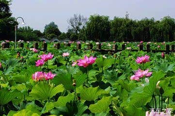 【博瑞周年庆 三圣乡春日BBQ 全员拓展活动_