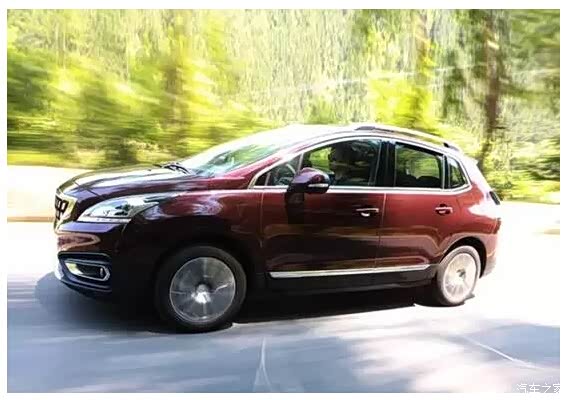 【最近 狮子发现了一件大事!_元通森美新闻资