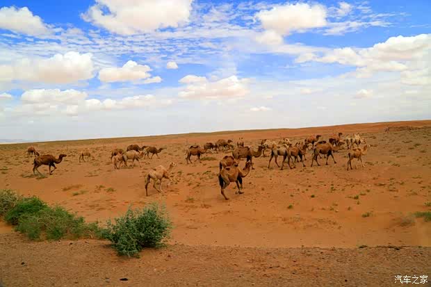 【锐骐皮卡2016丝绸之路车队日记7月21日_郑