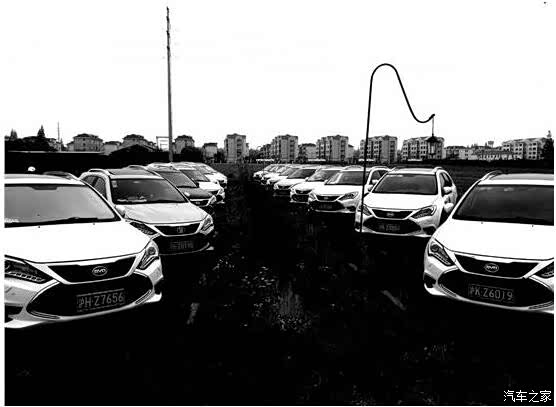 【图】上海润迪唐车友会崇明岛自驾游圆满成功