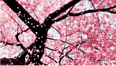 【三生三世十里桃花 雷凌Turbo试驾品鉴会_十