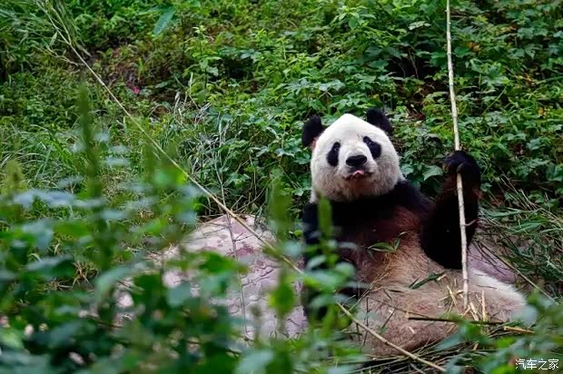 【纵横华夏之旅:寻回初心 无畏征程_鹏龙瑞丰