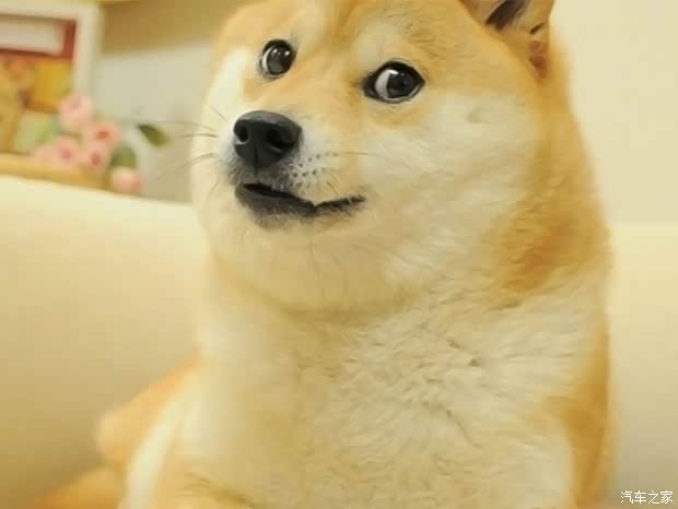 【我叫王大欢我要你的祝福 买个车压压惊_武汉