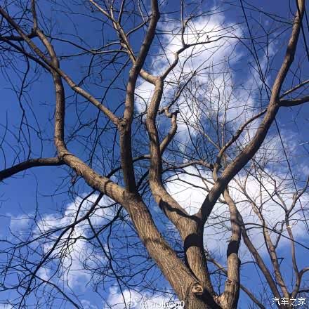 【最新消息!河北5市明确解除限行_定州市双悦