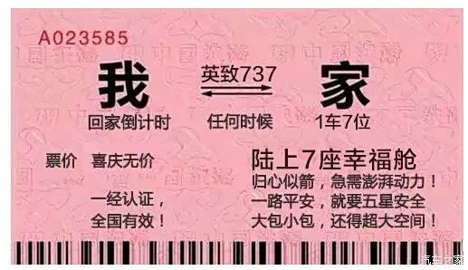 【抢不到火车票他们竟然用这种方式回家!_湖南