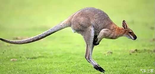 【沃尔沃 四驱or两驱 您将会如何抉择呢_沃尔沃