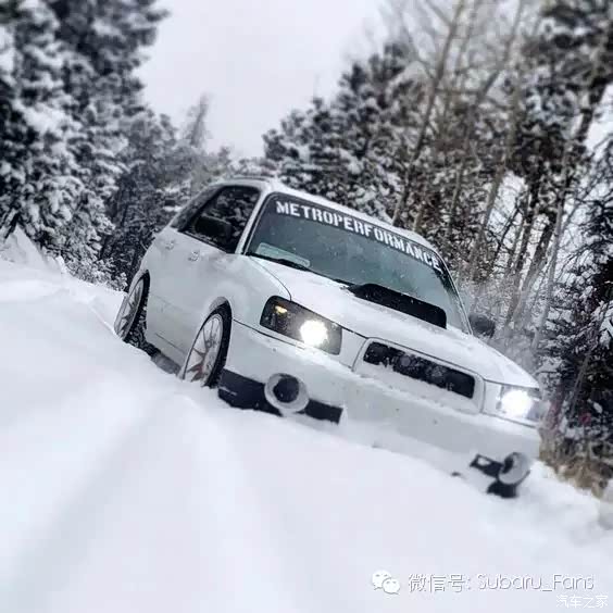 【看图不说话 春姑娘来了再见了冰雪君!_汽车