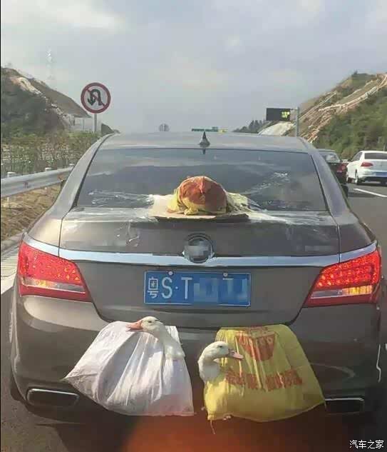 【高配置后置发动鸡双涡轮增鸭起亚还有更壕的