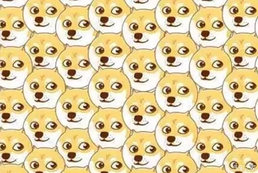 【网友春节奇葩吐槽集锦_天水奔马汽车店内活