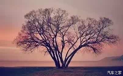 首页 经销商信息 ></p></a> 正文  遇到话不投机之人,多说是过, 置之不理才是