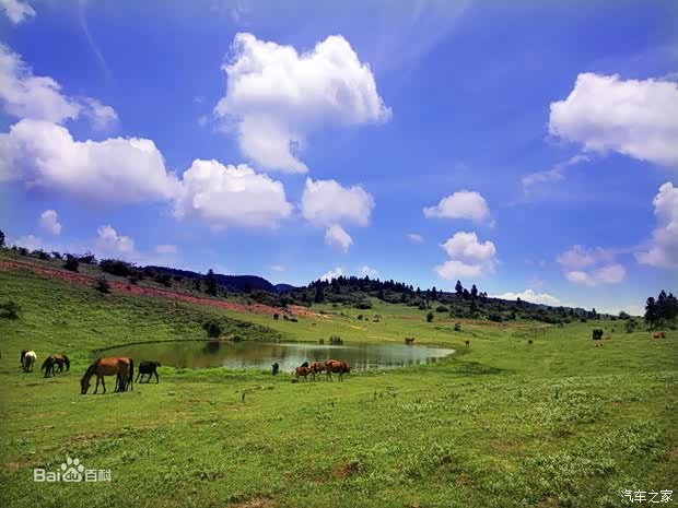 东风日产重庆武隆自驾两日游招募中_南充东风
