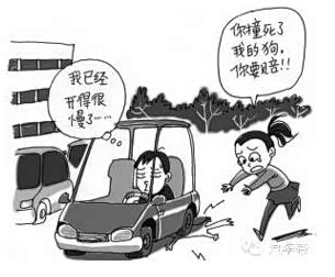 【看就明白开车撞到宠物狗怎么办保险赔吗_东