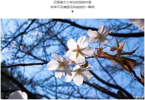 【心之所向-就是最好的生活_中驰汽车新闻资讯