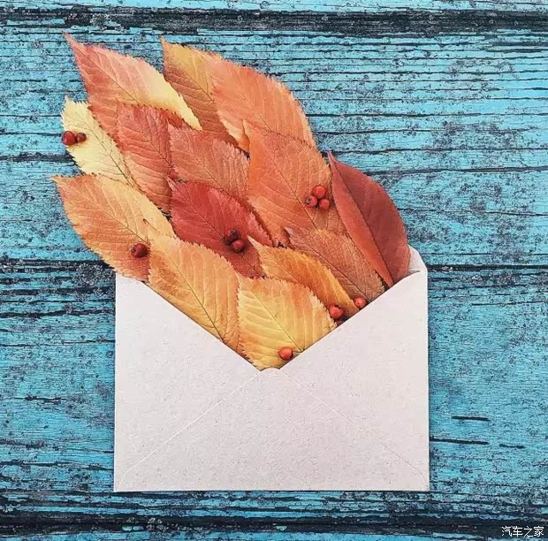 你有一封来自秋天的信见字如面已是秋