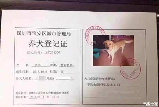 【看就明白开车撞到宠物狗怎么办保险赔吗_东