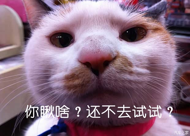 【能动手尽量别吵吵_标致沈阳庞大店维修保养