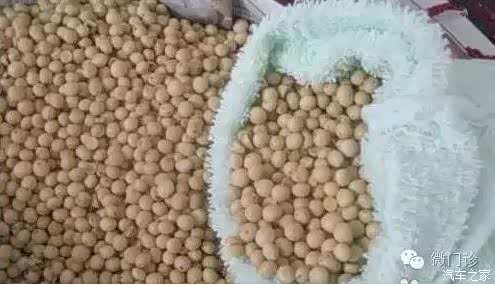 【治疗颈椎病最好方法 2000克黄豆做枕头_英