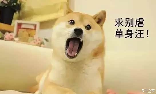 双 十一过后 快递向我奔来怎么办_邢台煤热佳