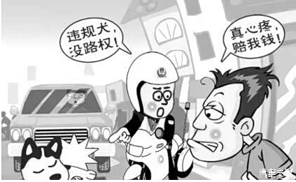 【看就明白开车撞到宠物狗怎么办保险赔吗_东