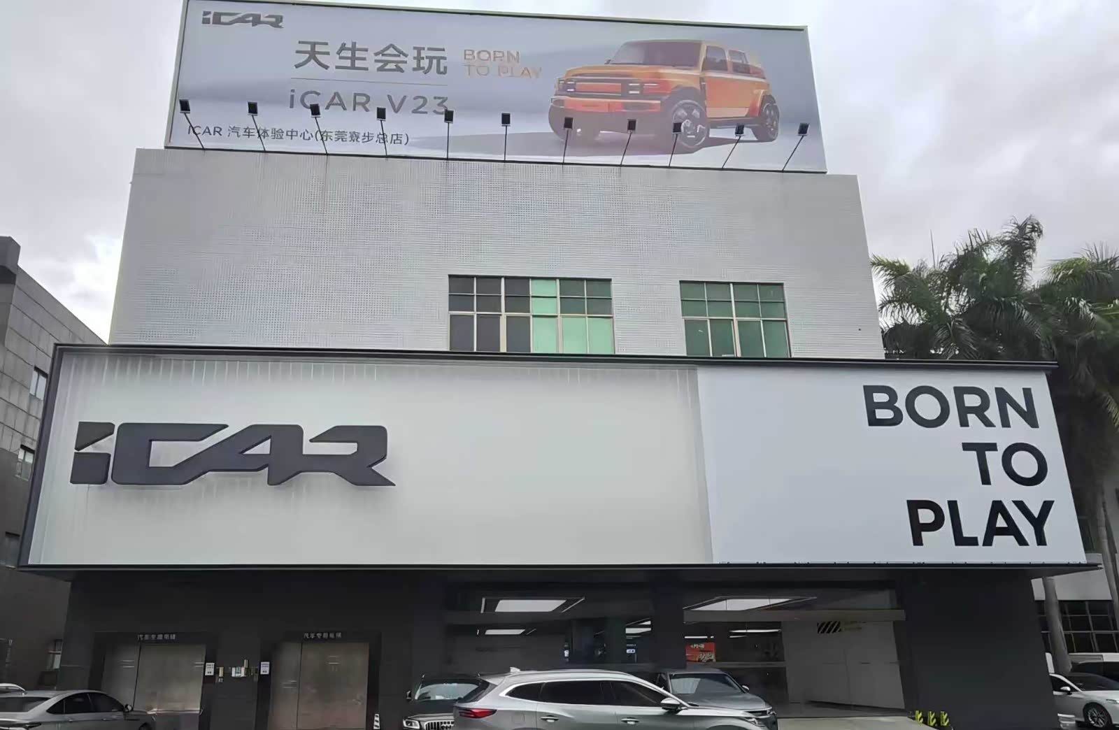 iCAR东莞虎蜘蛛店(爱咖)