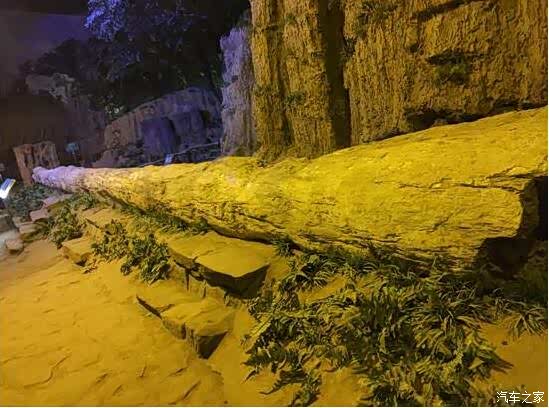 【图】上海润迪唐车友会崇明岛自驾游圆满成功