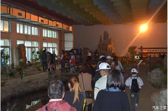 【图】上海润迪唐车友会崇明岛自驾游圆满成功