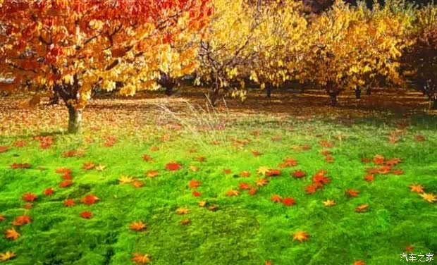 【绅情秋风秋雨-天已冷-请添衣!_信阳盛之润