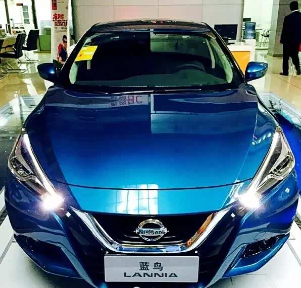新款蓝鸟售价:    .59万起