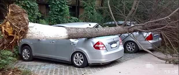 【小技巧教你解决保险赔偿 实用 全赔_四川达