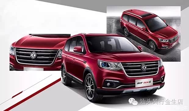 【图】东风风行SX6新车上市发布会圆满成功