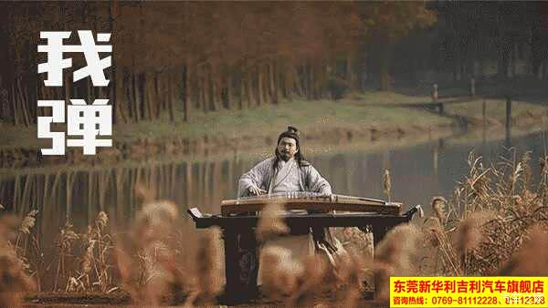 【博越视界 天涯何处觅知音_新华利吉利汽车4