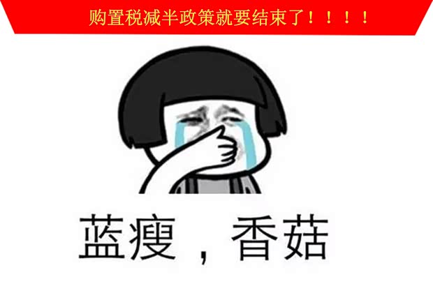 【图】购置税减半政策都要结束了 您还在观望_汽车之家