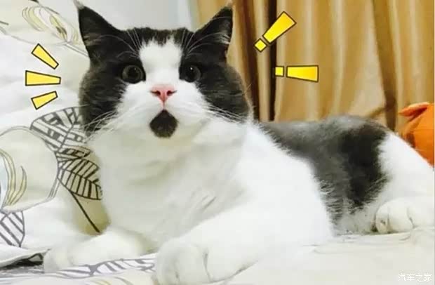 【还在挤公交 魔术师教你换个姿势坐巴士_广汽