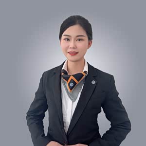 王琼燕销售总监