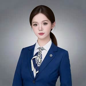 上汽大众婷婷