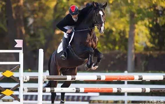 14平方公里,目前已对外开放的项目为标准f3赛车俱乐部,赛马俱乐部,27