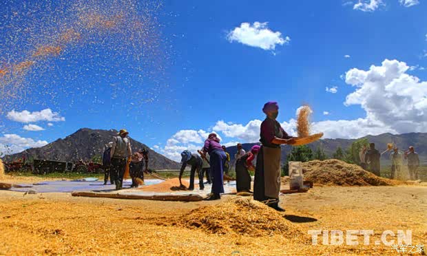 【瑞士不再承认流亡藏_人 证件标中国公民_铜