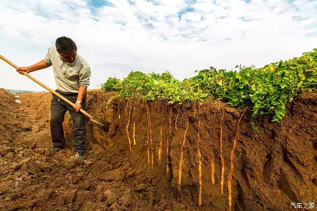 【2017怀山堂山药采挖节河南豫海邀您同行_河南豫海汽车店内活动】-汽车之家