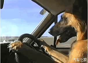 狗为啥喜欢尿轮胎 620x0_1_q87_autohomedealer__wKgH11gIhuKAXixOAABqV6o5cps743.jpg