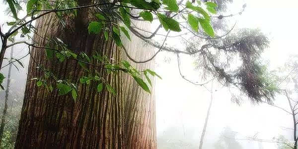 【假期去哪玩 上海周边自驾游线路推荐_上海名