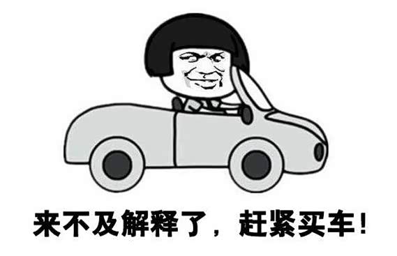 【望穿秋水 终于等到你_重庆米飞迪众泰S派新