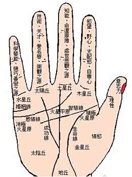 手相学命运线
