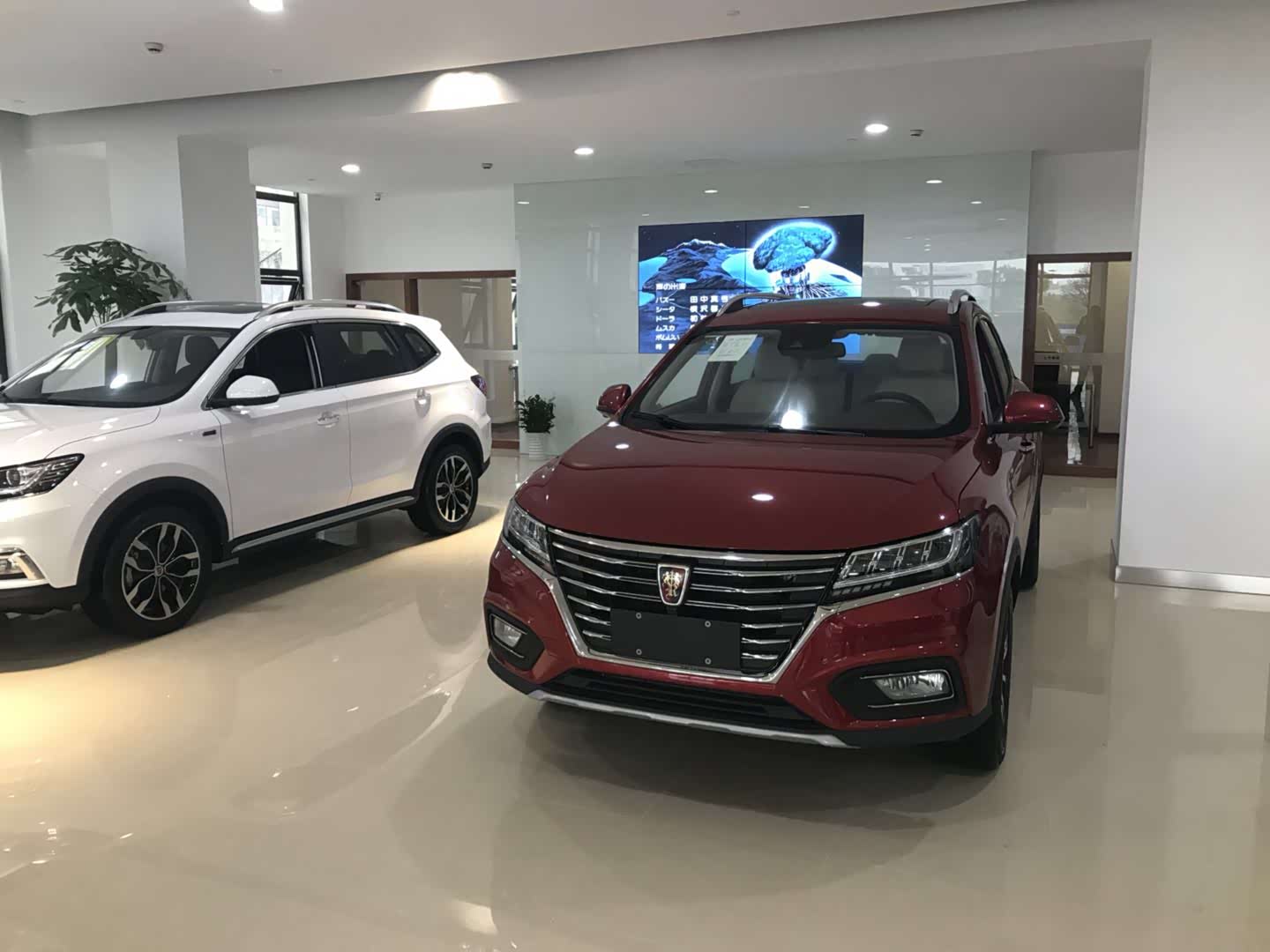 上海浦江锦隆荣威店