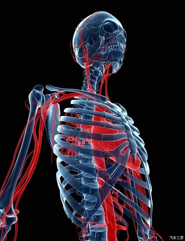 【酒喝多少不算酒驾 全是知识点_上汽大众赤峰