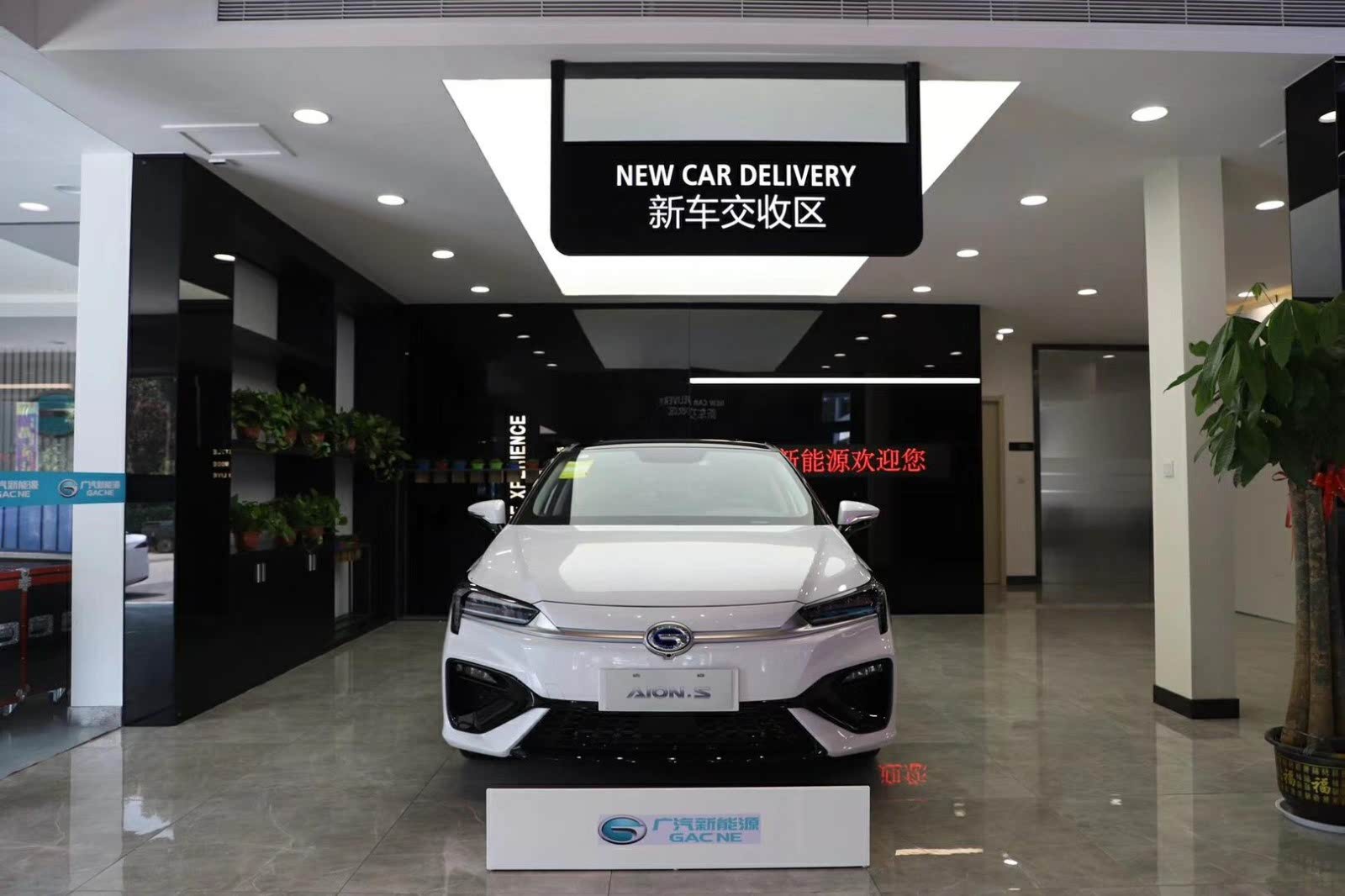 新车展示区