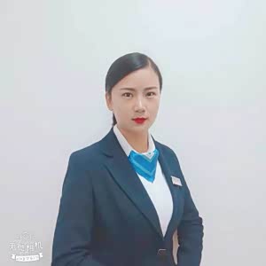 王素养