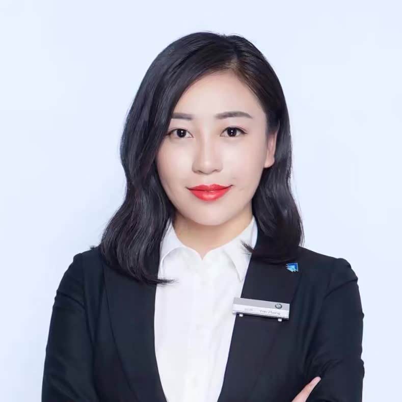 中升集团金牌顾问张燕