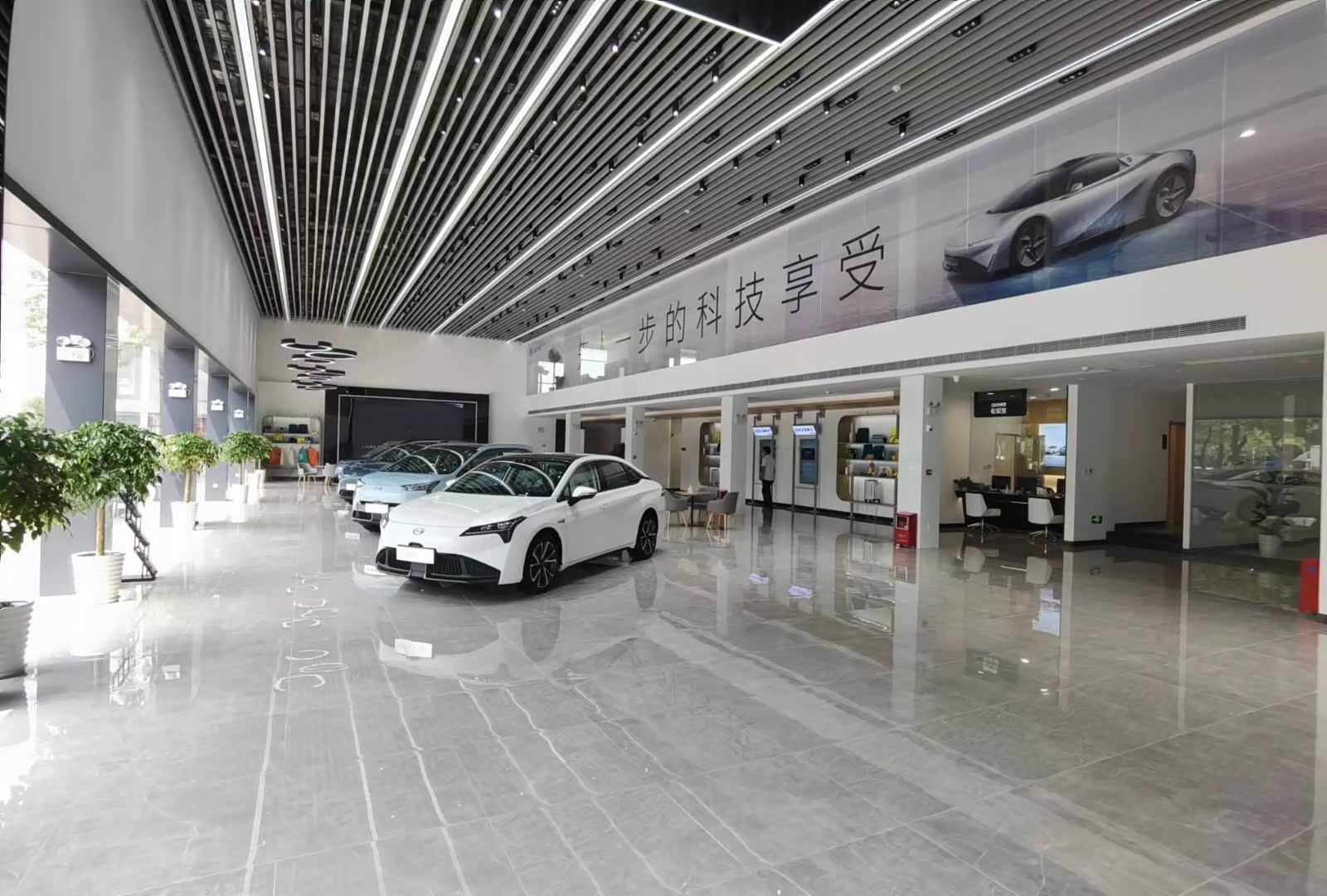 新车展示区